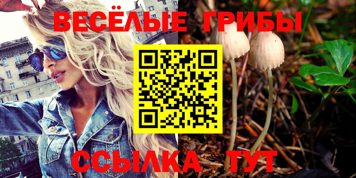 Псилоцибиновые грибы GOLDEN TEACHER  Вход с VPN  Псилоцибиновые грибы Psilocybe  дарнет шоп  Первоуральск 